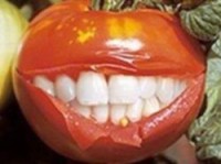 Gmo