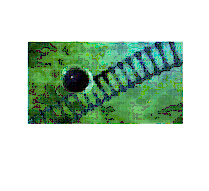 zymes-1 zymes-1