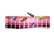 Косметика-mins Косметика-mins