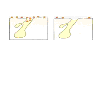 поры-2