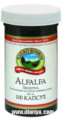 Alfalfa