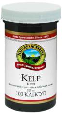 Kelp