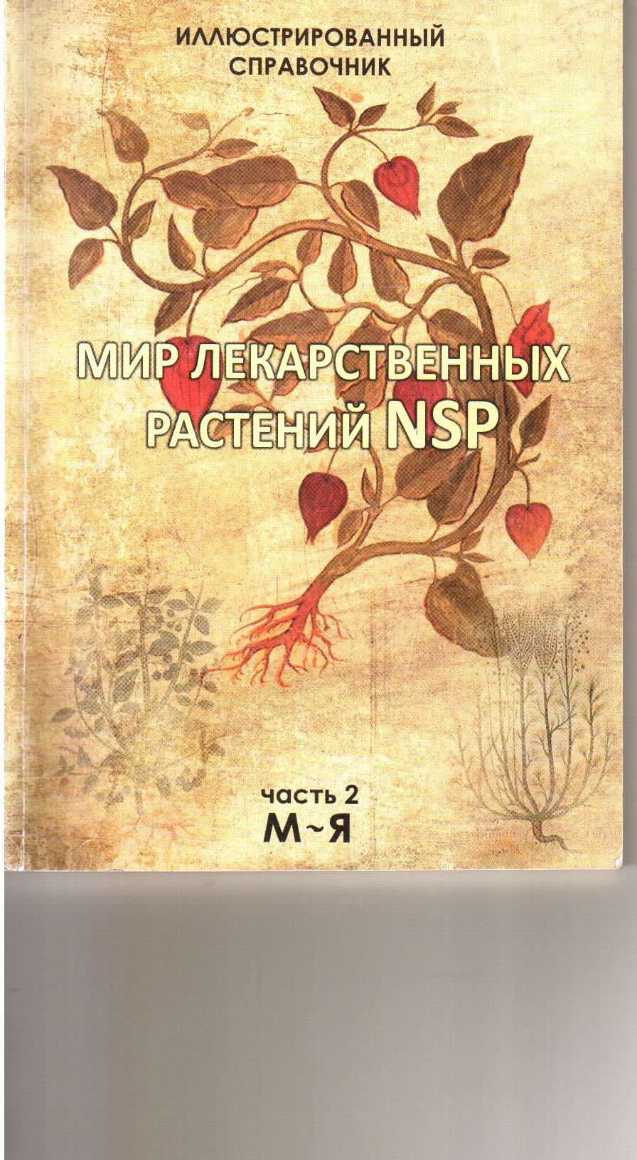 Мир лекарственных растений Обложка.2 часть