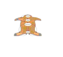 Меланин -1